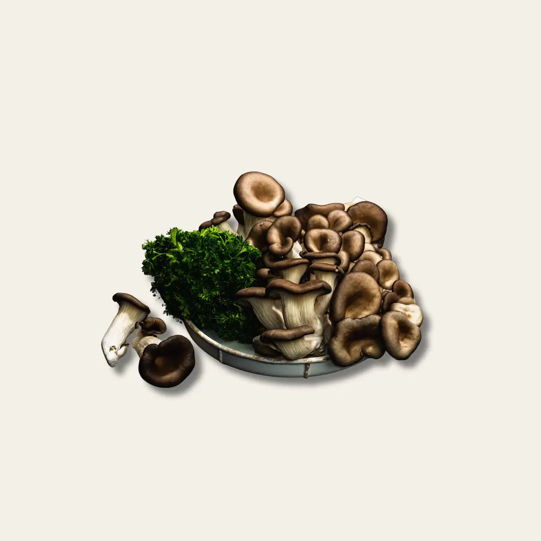 Dynamik Plus Enzym Komplex Biofilm 120 Tabletten