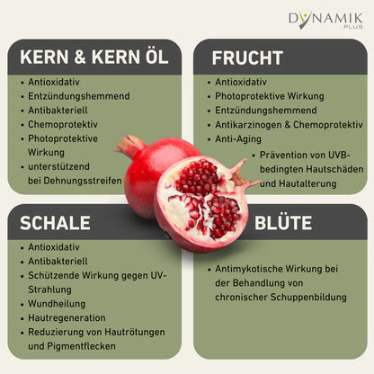 Dynamik Plus  RELIFT Augenserum 15 ml