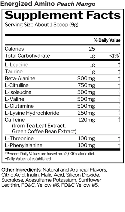 Rule1 R1 Energized Amino 270g Dose