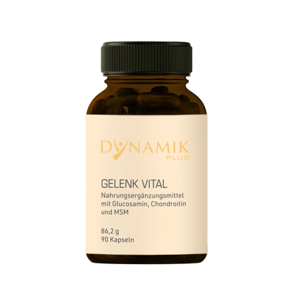 Dynamik Plus Gelenk Vital 90 Kapseln