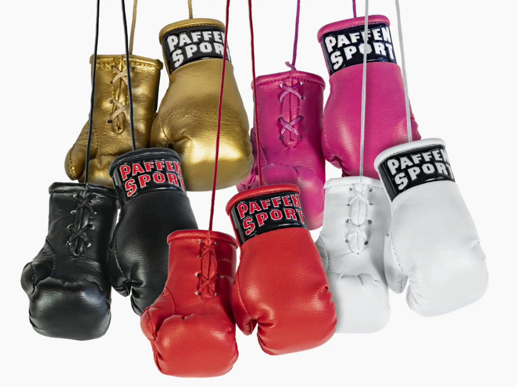 Paffen Sport Mini Boxhandschuhe