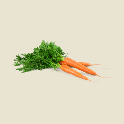 Dynamik Plus Vitamin A 50ml Liquid