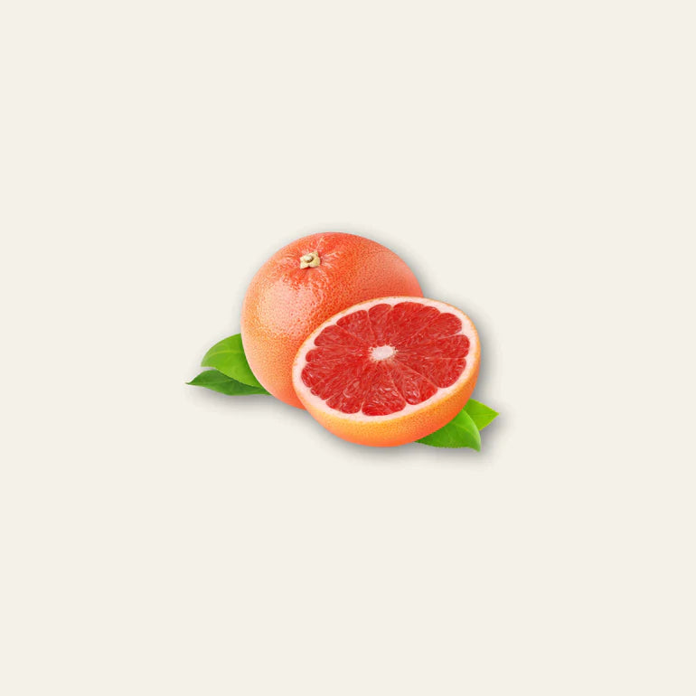 Dynamik Plus Bio Grapefruit Extrakt 100ml Liquid