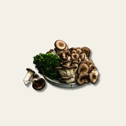 Dynamik Plus Enzym Komplex Biofilm 120 Tabletten