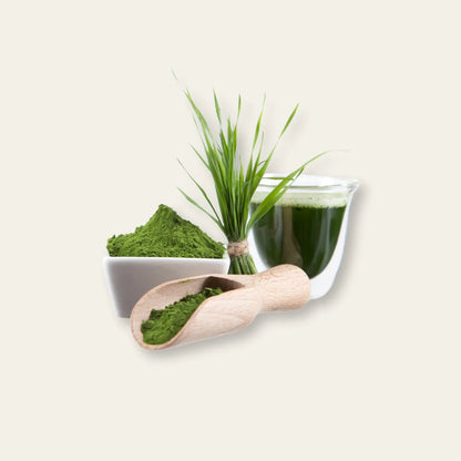 Dynamik Plus Bio Gerstensaft Kapseln 90 Kapseln