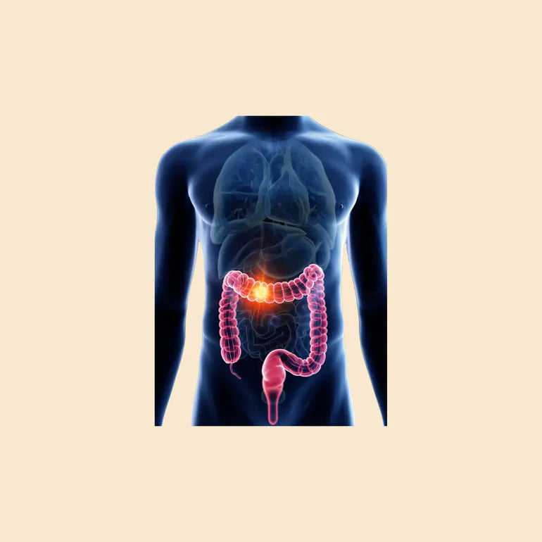 Dynamik Plus Microbiom 54 - 60 Kapseln