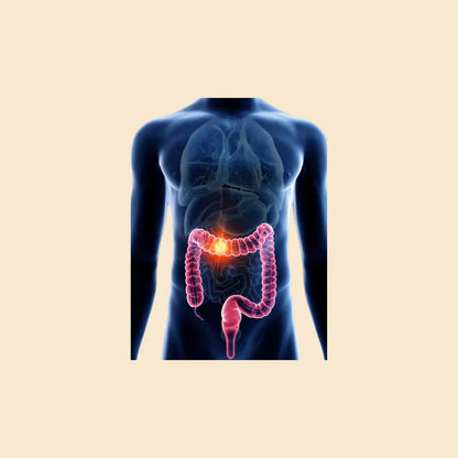 Dynamik Plus Microbiom 54 - 60 Kapseln