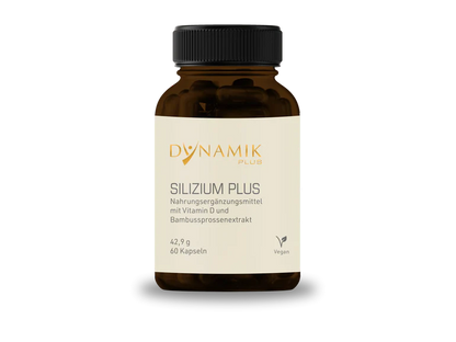 Dynamik Plus Silizium Plus 60 Kapseln