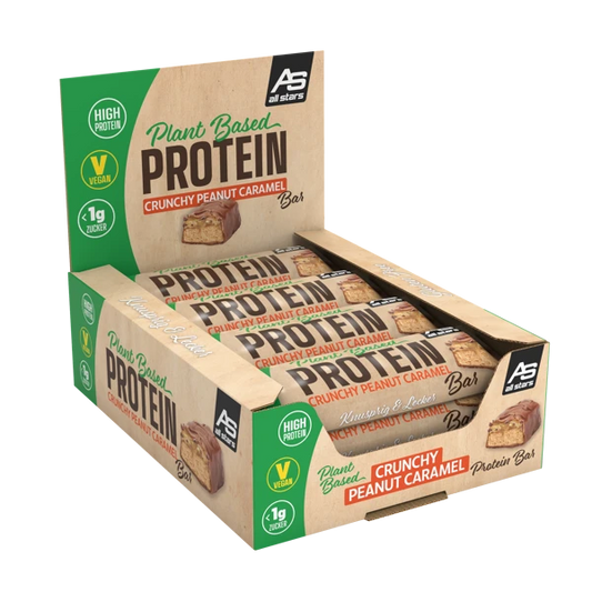 Vegan Protein Riegel Proteinriegel Box (15x45g)