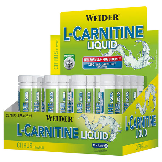 L-Carnitine Liquid Ampullen