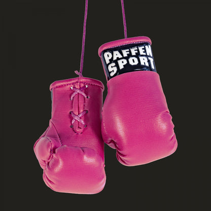 Paffen Sport Mini Boxhandschuhe